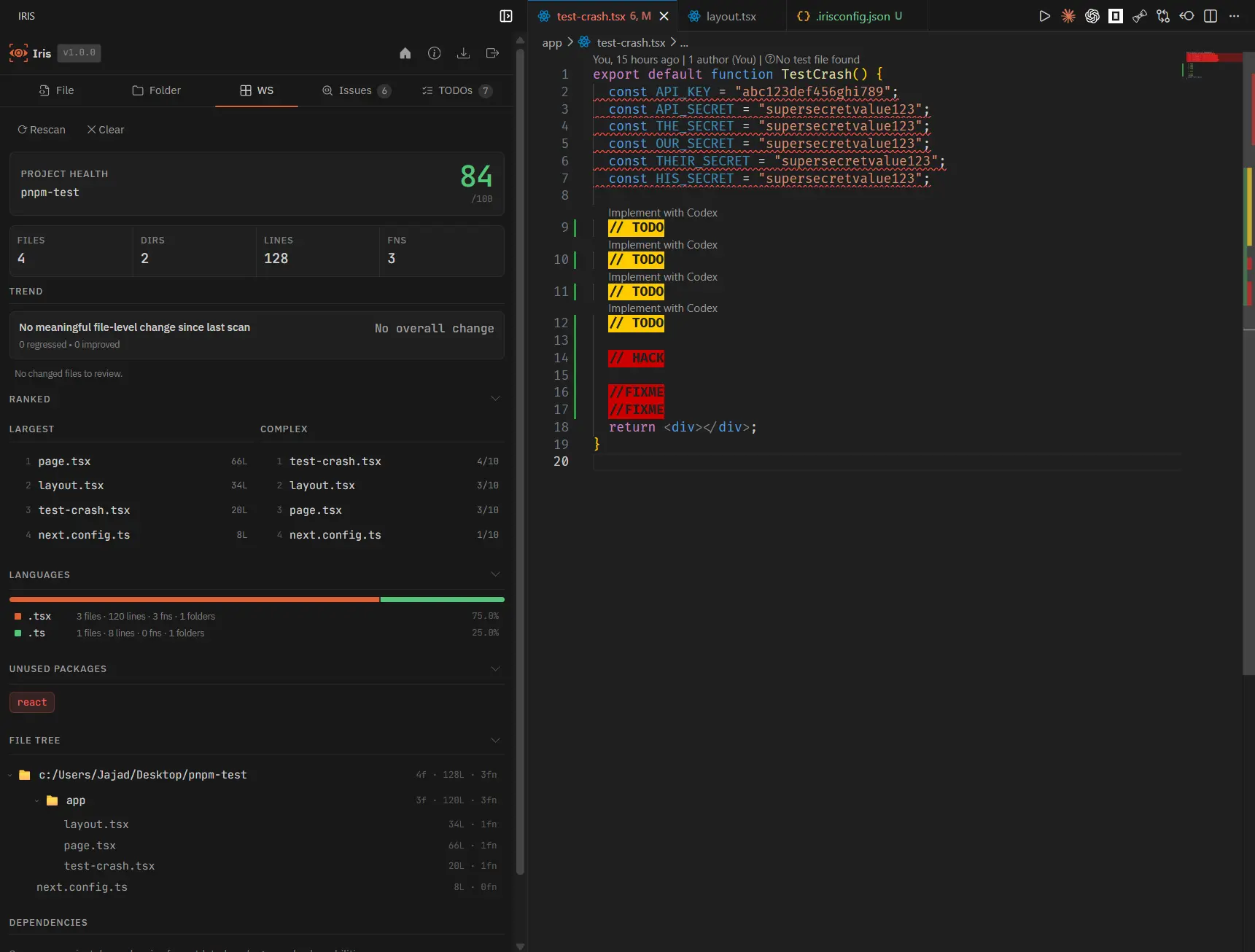 Iris WS tab showing project health, trend summary, ranked files, language breakdown, file tree, and dependencies