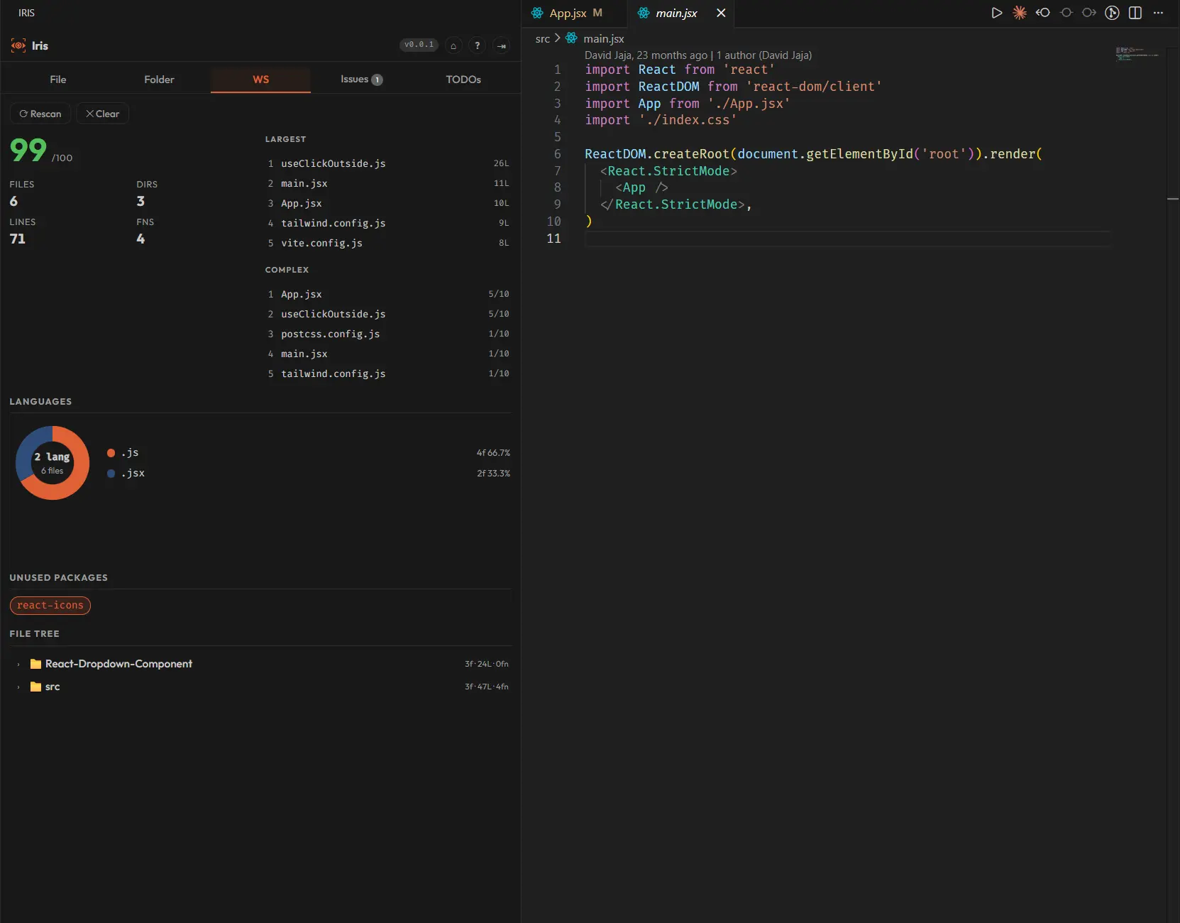 Iris Problems tab and TODOs tab with workspace-wide findings